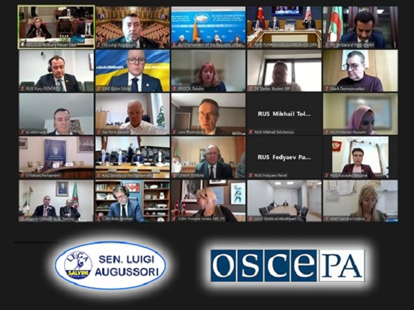 OSCE, la situazione ucraina al centro della riunione invernale dell’Assemblea Parlamentare